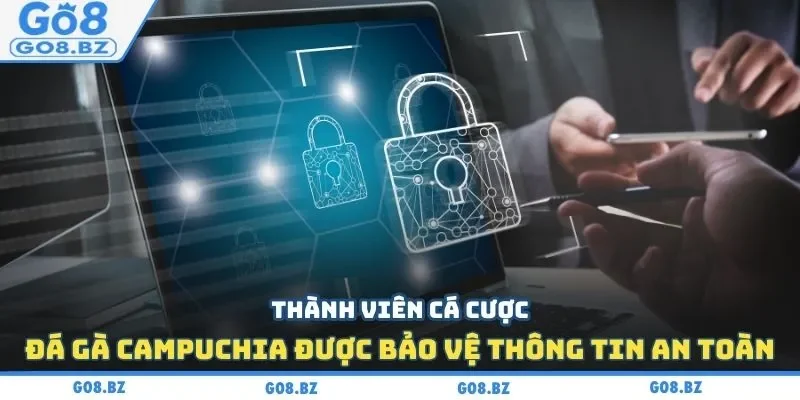 Thành viên cá cược đá gà Campuchia được bảo vệ thông tin an toàn